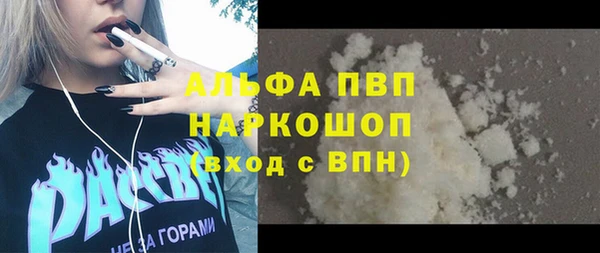 стаф Алексин
