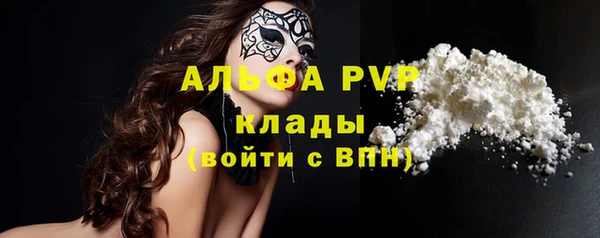 стаф Алексин