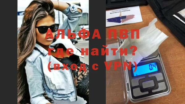 стаф Алексин